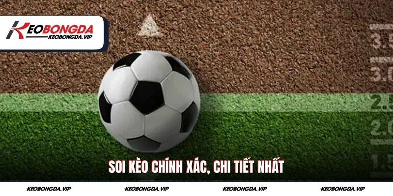 Soi kèo chính xác, chi tiết nhất 